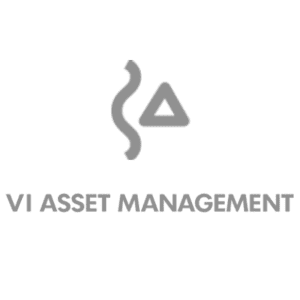 VI Asset Management