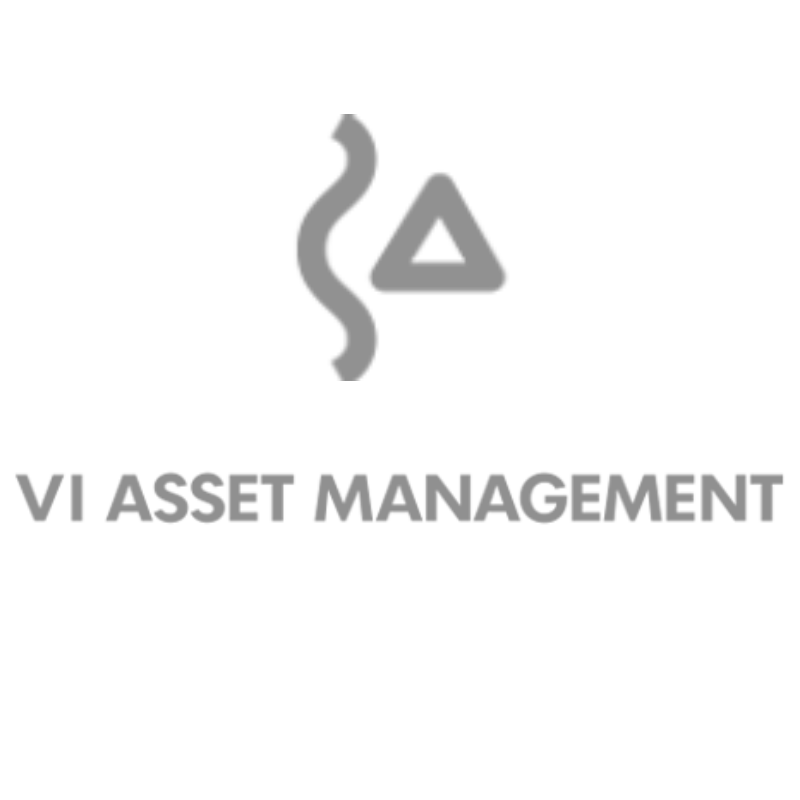 VI Asset Management